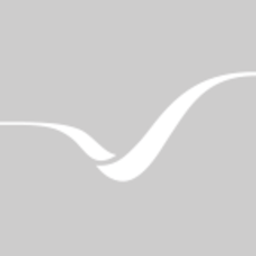 Airline logo